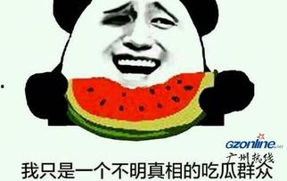 网上吃瓜什么意思,揭秘“吃瓜”背后的网络文化现象