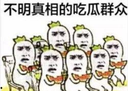微信表情吃瓜吃瓜是什么意思啊