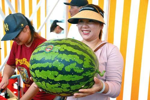 娱乐吃瓜最新,明星们的“吃瓜”大揭秘！