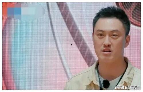 娱乐圈吃瓜爆料记者是谁,揭秘幕后真相,揭秘娱乐圈那些不为人知的秘密