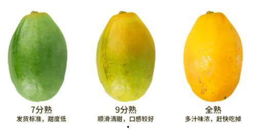 娱乐吃瓜免费吃瓜入口,吃瓜入口等你来开启！