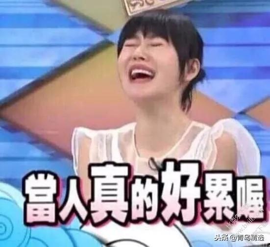 娱乐圈吃瓜博主合集小说,吃瓜博主们的独家秘闻