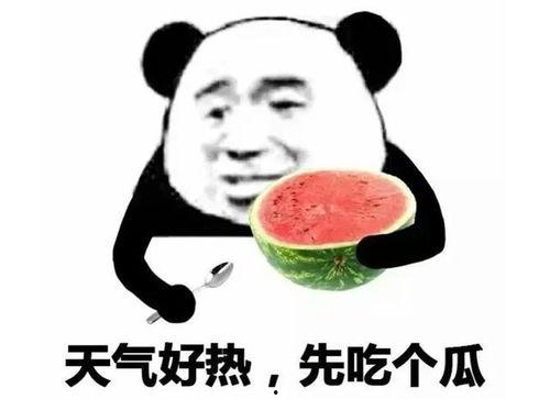 表情包里吃瓜的表情是什么意思,揭秘网络社交中的“围观”文化
