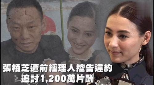 娱乐吃瓜贴吧,揭秘明星幕后故事
