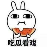 吃瓜专用表情,揭秘吃瓜专用表情的火爆之谜